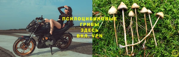 амф Баксан