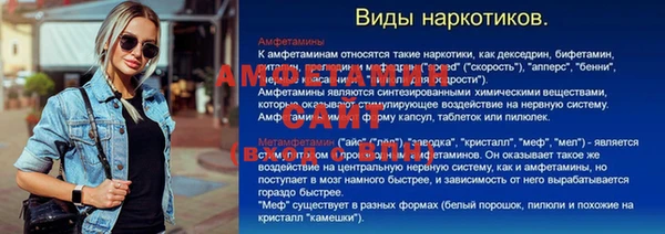 прущие грибы Сосновый Бор
