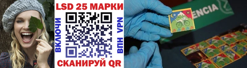 Марки N-bome 1500мкг  Черноголовка 