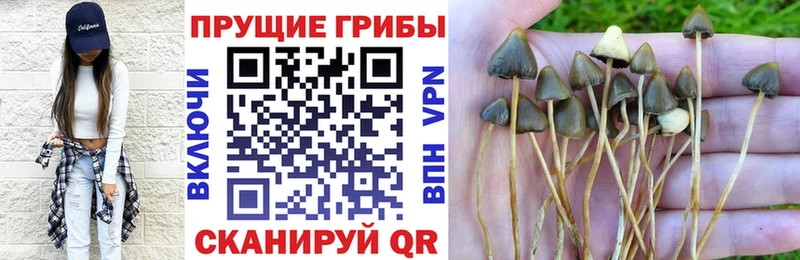 Псилоцибиновые грибы мухоморы Черноголовка